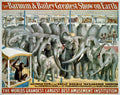 Circus Barnum Bailey 1895e Vintage A4 Photo Print