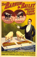 Circus Barnum Bailey 1898e Vintage A4 Photo Print