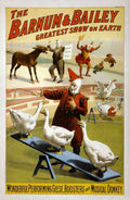 Circus Barnum Bailey 1900b Vintage A4 Photo Print