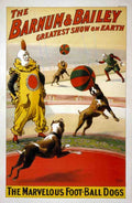 Circus Barnum Bailey 1903 Vintage A4 Photo Print