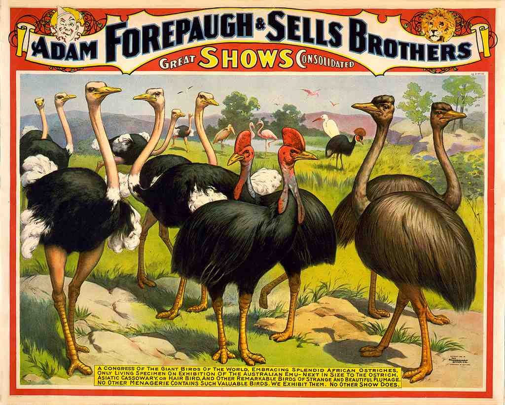 Circus Forepaugh Sells Brothers 1898a Vintage A4 Photo Print