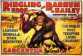 Circus Gargantua Vintage A4 Photo Print