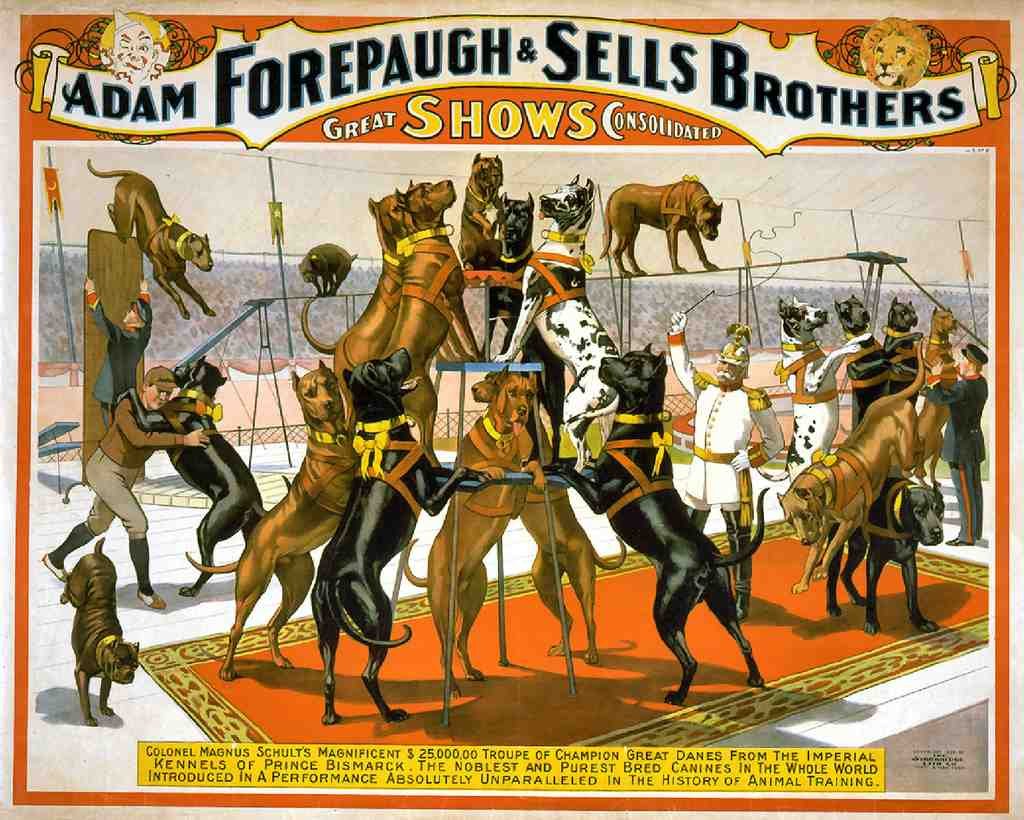 Circus Great Danes 1898 Vintage A4 Photo Print