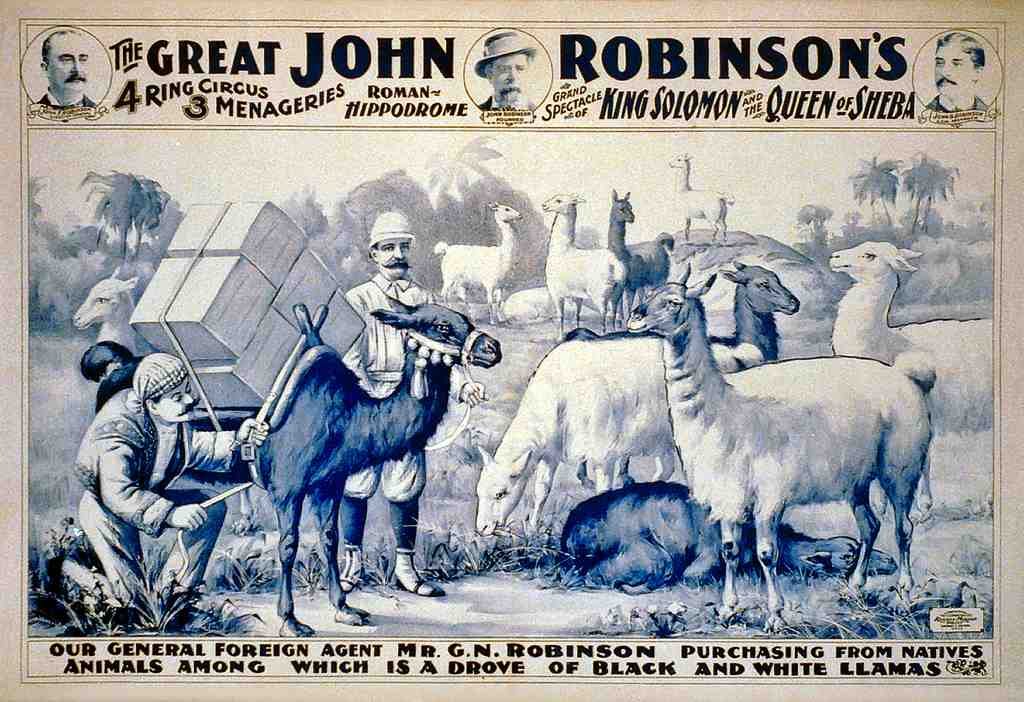 Circus Great John Robinsons 1900 Vintage A4 Photo Print