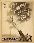 Circus Human Canon Ball 1879 Vintage A4 Photo Print