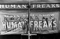 Circus Human Freaks 1941 Vintage A4 Photo Print