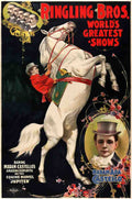 Circus Madam Ada Castello 1899 1a4 Photo Print Vintage A4 Photo Print