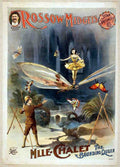 Circus Midgets Vintage A4 Photo Print