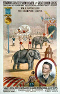 Circus Pt Barnum 1879 Vintage A4 Photo Print