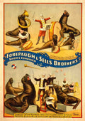 Circus Shows Combined 1899b Vintage A4 Photo Print