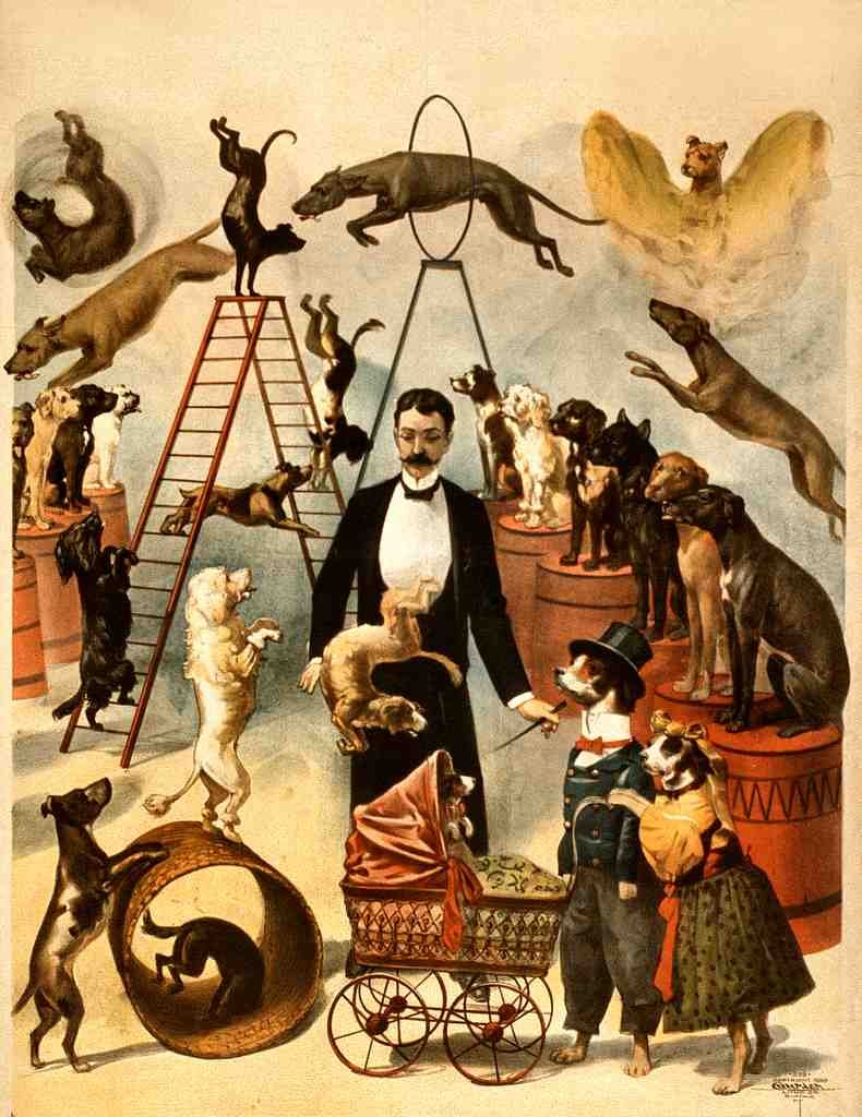 Circus Trained Dog Act 1899 Vintage A4 Photo Print
