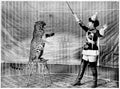 Circus Vallecitas Leopards 1906 Vintage A4 Photo Print