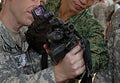 Cis Sar21 3 Military A4 Photo Print