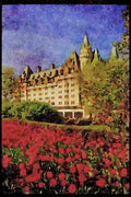 Cities 242002 Red Tulips And Chateau Laurier A4 Limited Edition Watercolour Print