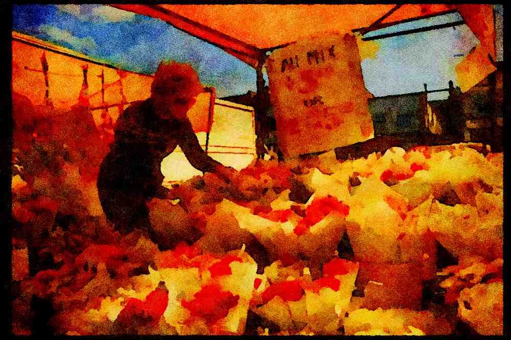 Cities 242018 Flower Vendor At Market A4 Limited Edition Watercolour Print