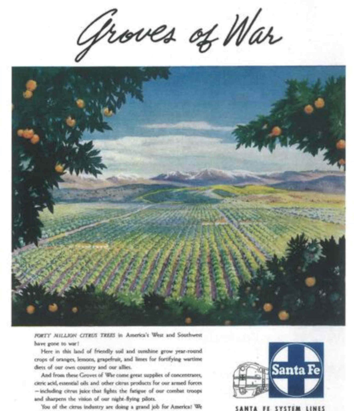 Citrus Orchard War Vintage Retro Advert Poster A4 Photo Print