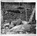 Civil War 00877r Military A4 Photo Print