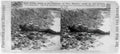 Civil War 3b42956r Military A4 Photo Print