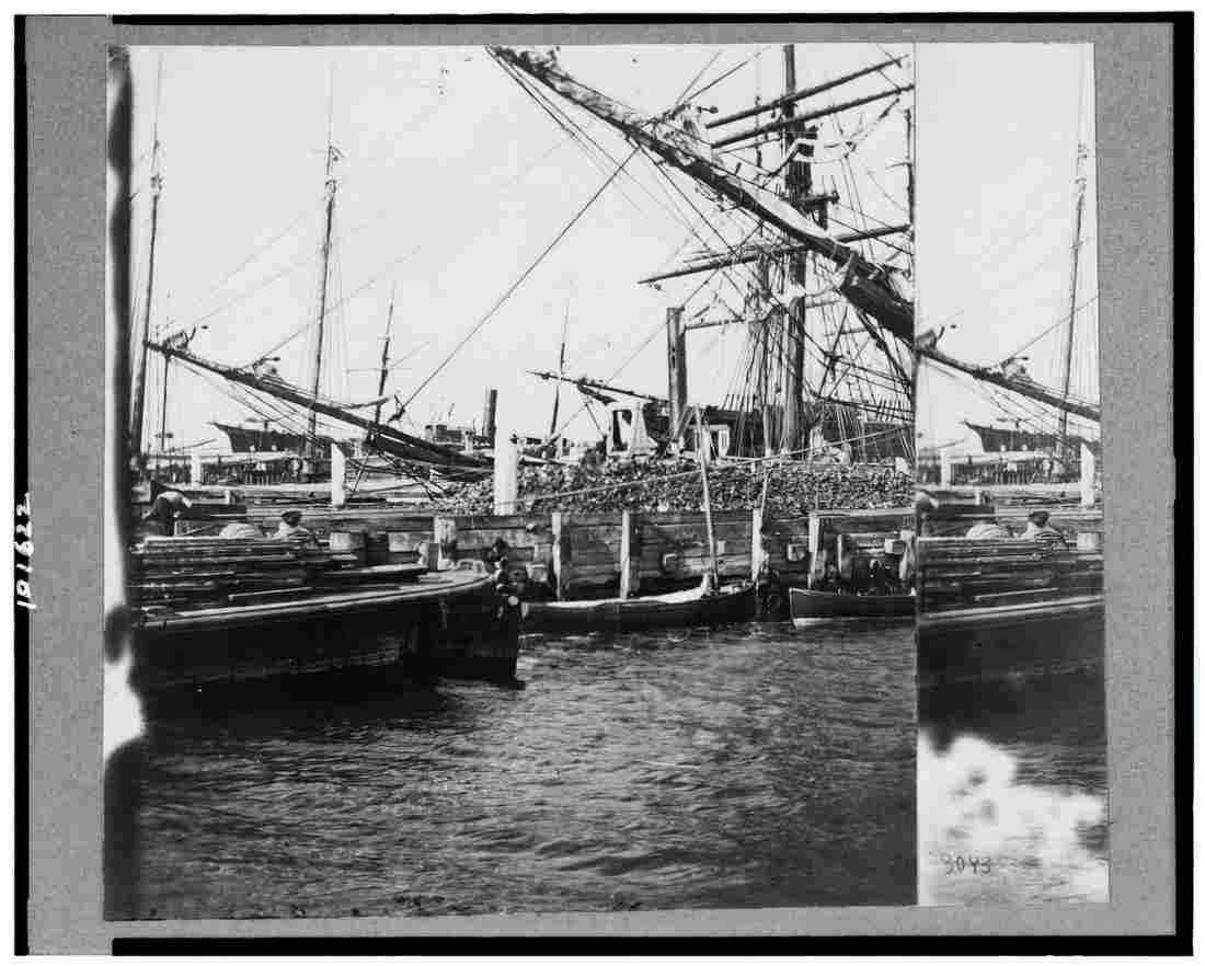 Civil War 3c01622v Military A4 Photo Print