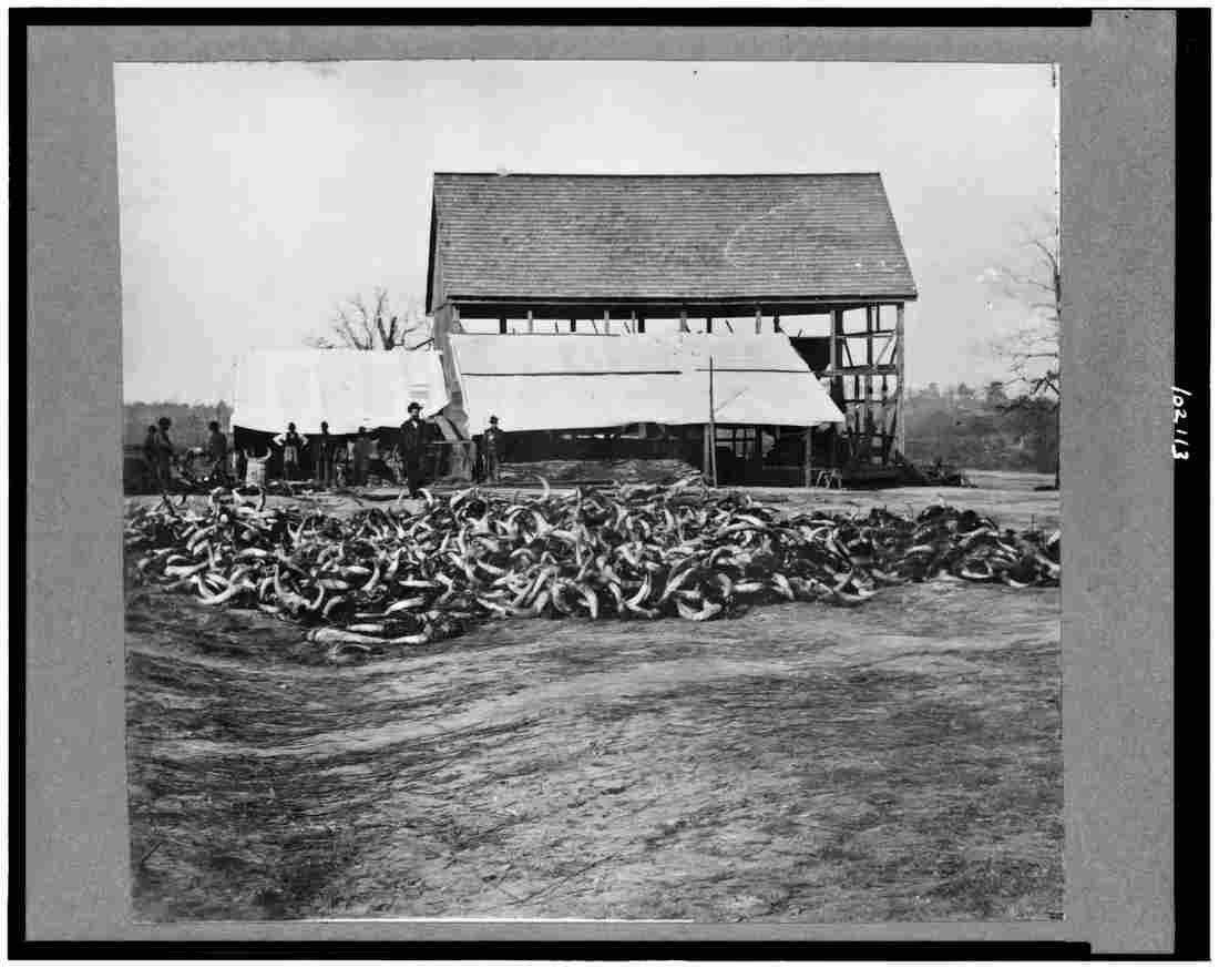 Civil War 3c02113v Military A4 Photo Print