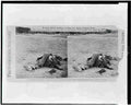 Civil War 3c11743r Military A4 Photo Print