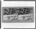 Civil War 3c17572v Military A4 Photo Print