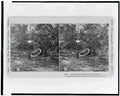 Civil War 3c17619r Military A4 Photo Print