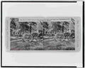 Civil War 3c18373r Military A4 Photo Print
