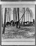 Civil War 3c19929r Military A4 Photo Print