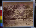 Civil War 3g01820r Military A4 Photo Print