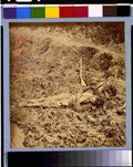 Civil War 3g01821r Military A4 Photo Print