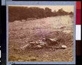 Civil War 3g01830r Military A4 Photo Print