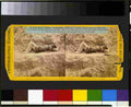 Civil War 3g01851r Military A4 Photo Print