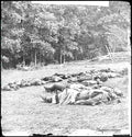 Civil War 4a39433r Military A4 Photo Print