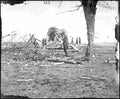 Civil War 4a39453r Military A4 Photo Print