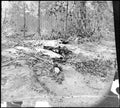 Civil War 4a39617r Military A4 Photo Print