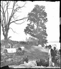 Civil War 4a39700r Military A4 Photo Print