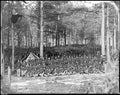 Civil War 4a39984r Military A4 Photo Print