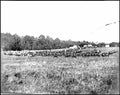 Civil War 4a40074r Military A4 Photo Print