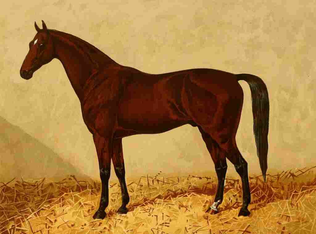 Clark James 1858 1943 The Arabian Horse 1894 Euclid A4 Photo Print
