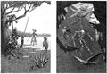 Classic Vintage v1 Page 084 Fairy Art Vintage Illustration A4 Photo Print