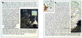 Classic Vintage v1 Page 110 Fairy Art Vintage Illustration A4 Photo Print