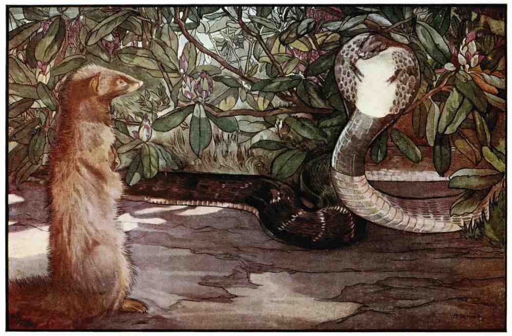 Classic Vintage v2 Page 164 Fairy Art Vintage Illustration A4 Photo Print