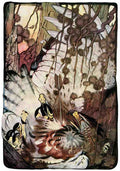 Classic Vintage v2 Page 171 Fairy Art Vintage Illustration A4 Photo Print