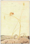 Classic Vintage v2 Page 173 Fairy Art Vintage Illustration A4 Photo Print