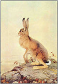 Classic Vintage v2 Page 180 Fairy Art Vintage Illustration A4 Photo Print
