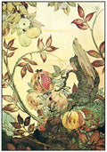 Classic Vintage v2 Page 188 Fairy Art Vintage Illustration A4 Photo Print