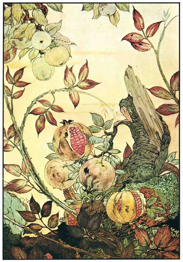 Classic Vintage v2 Page 188 Fairy Art Vintage Illustration A4 Photo Print