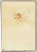 Classic Vintage v2 Page 190 Fairy Art Vintage Illustration A4 Photo Print