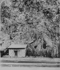 Clifton Arizona jail Built about 1881 by Lezinsky Bros Military A4 Photo Print
